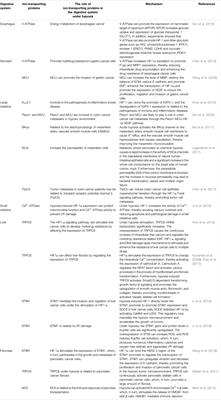 Effects of Ion-Transporting Proteins on the Digestive System Under Hypoxia